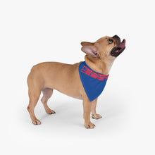 Load image into Gallery viewer, Pet Bandana Icon Logo Red/Blue